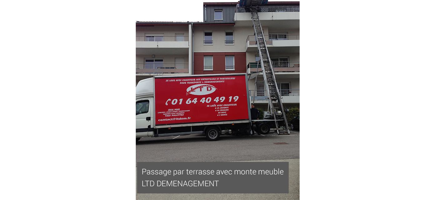 LTD DEMENAGEMENT